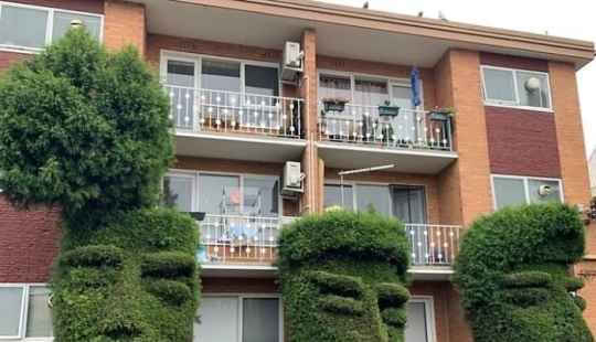 35 Times People Went Out Of Their Way To Make Their Gardens And Yards Unique But Ended Up With These