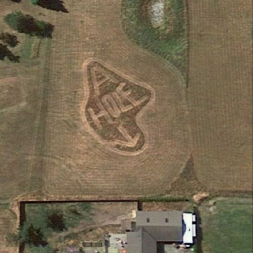 35 Times People Went Out Of Their Way To Make Their Gardens And Yards Unique But Ended Up With These