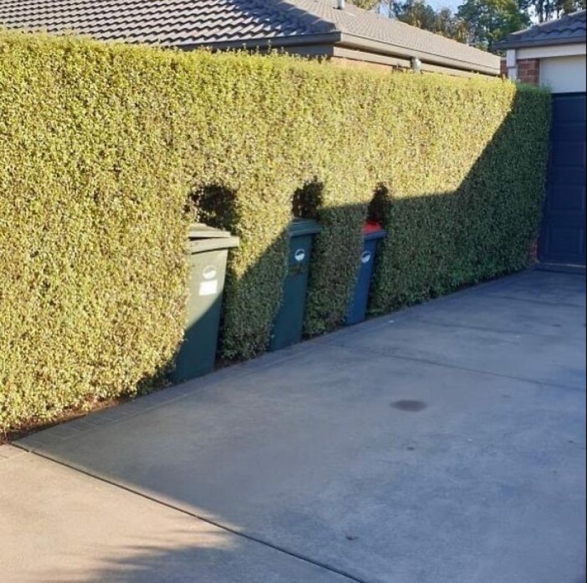35 veces en las que las personas se esforzaron por hacer que sus jardines y patios fueran únicos, pero terminaron con estos