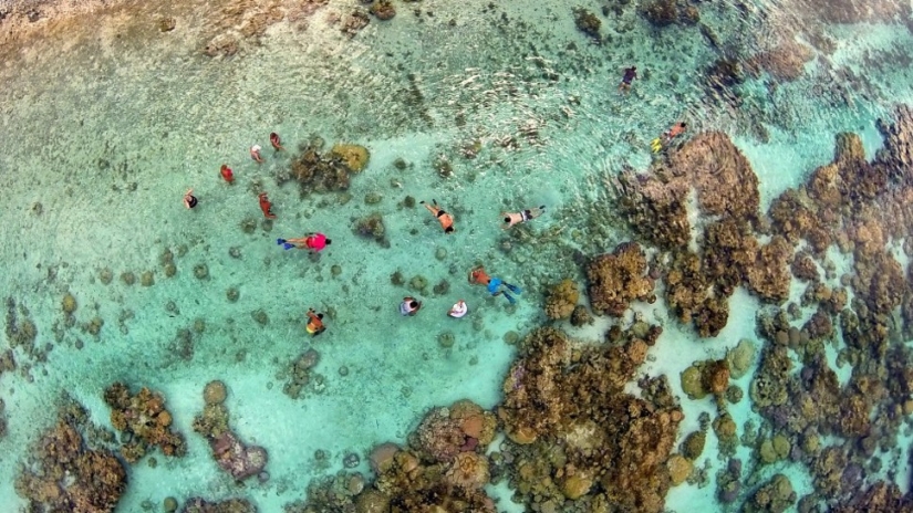36 increíbles fotos del primer concurso de fotografía con drones