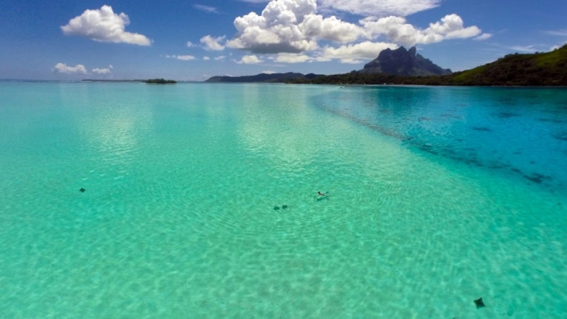 36 increíbles fotos del primer concurso de fotografía con drones