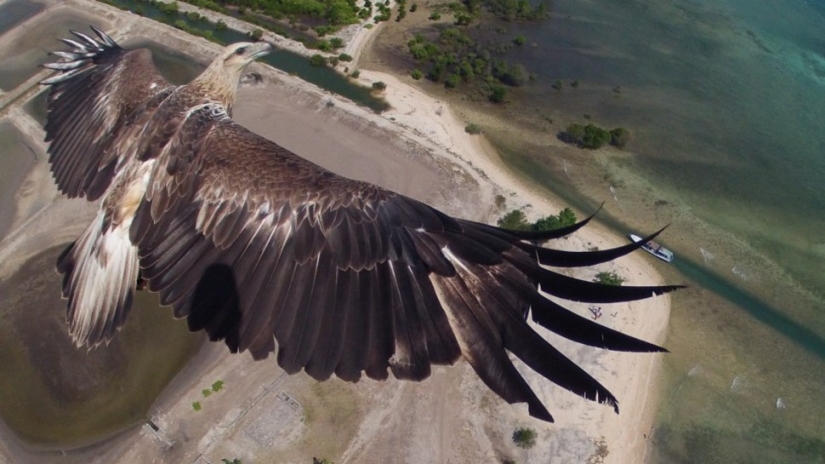 36 increíbles fotos del primer concurso de fotografía con drones
