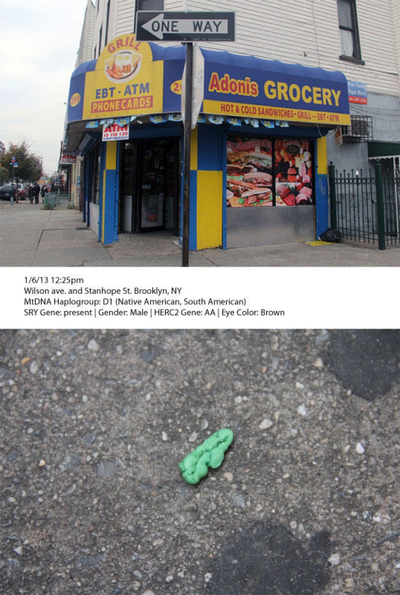 3D models of faces made from DNA taken from discarded objects 3D models of faces made from DNA taken from discarded objects