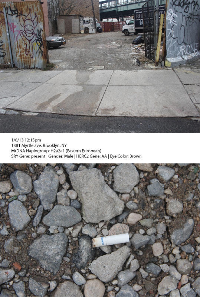 3D models of faces made from DNA taken from discarded objects 3D models of faces made from DNA taken from discarded objects