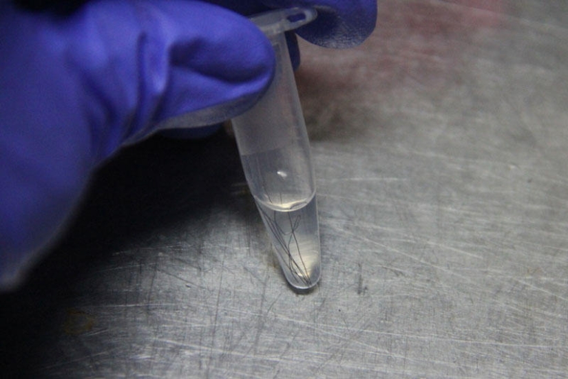 3D models of faces made from DNA taken from discarded objects 3D models of faces made from DNA taken from discarded objects