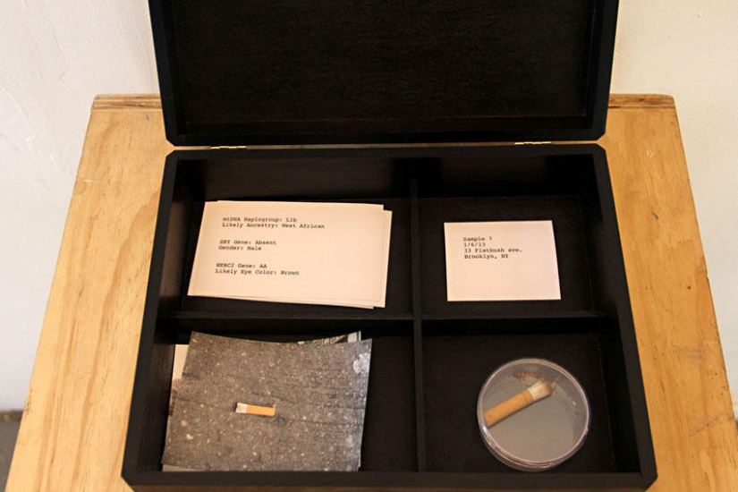 3D models of faces made from DNA taken from discarded objects 3D models of faces made from DNA taken from discarded objects