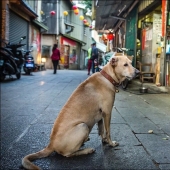 4 temas de los que es mejor no hablar en Taiwán con los locales para no ofenderlos 4 temas de los que es mejor no hablar en Taiwán con los locales para no ofenderlos
