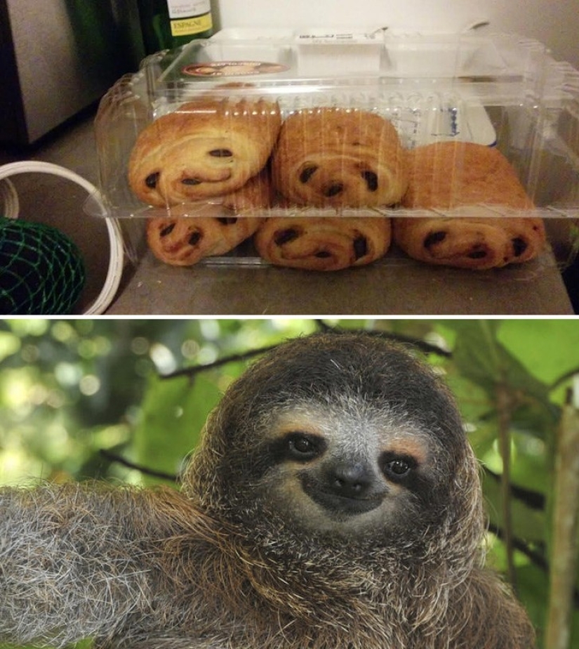 40 people and things whose similarity rolls over