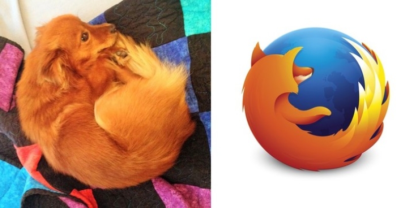 40 people and things whose similarity rolls over
