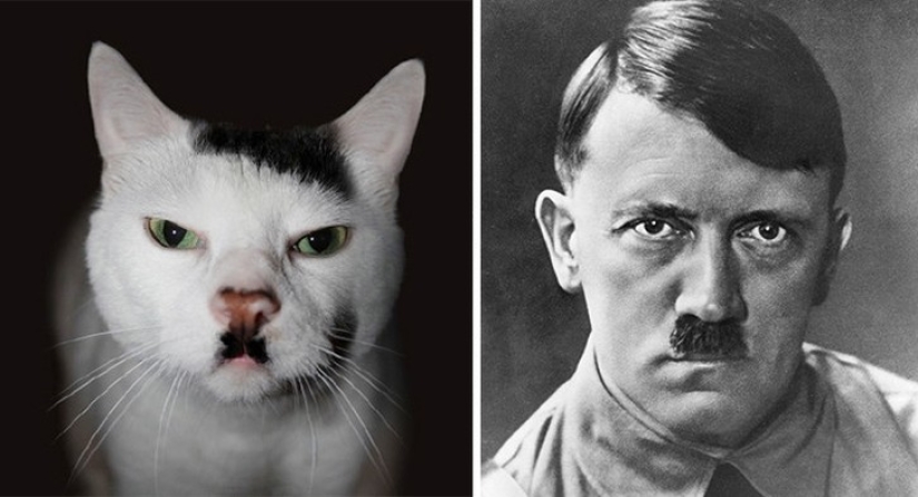 40 people and things whose similarity rolls over