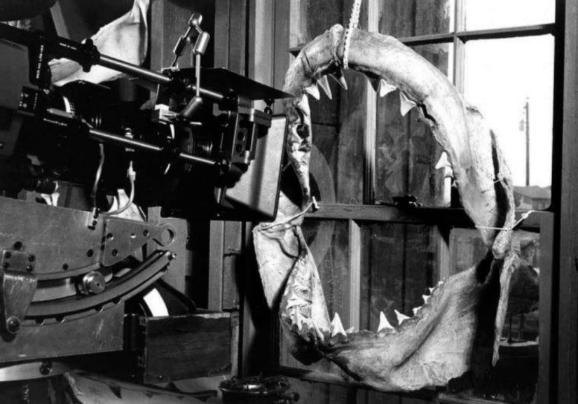 40th Anniversary of Steven Spielberg&#39;s Jaws! [Part 2]
