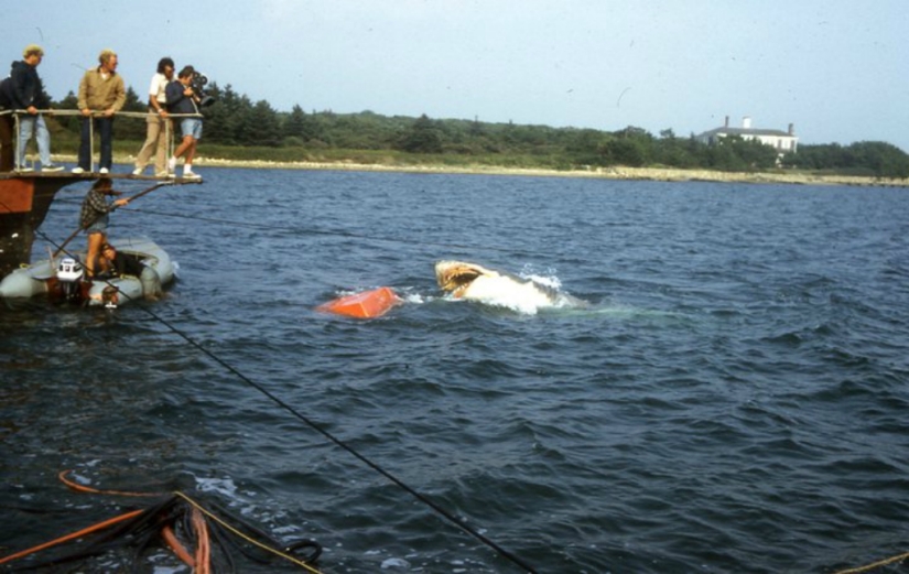 40th Anniversary of Steven Spielberg&#39;s Jaws! [Part 2]