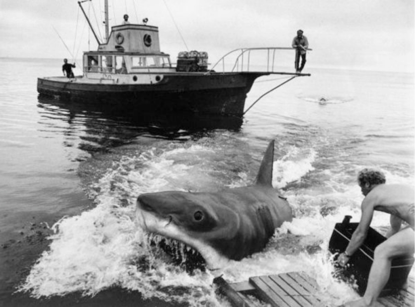 40th Anniversary of Steven Spielberg&#39;s Jaws! [Part 2]