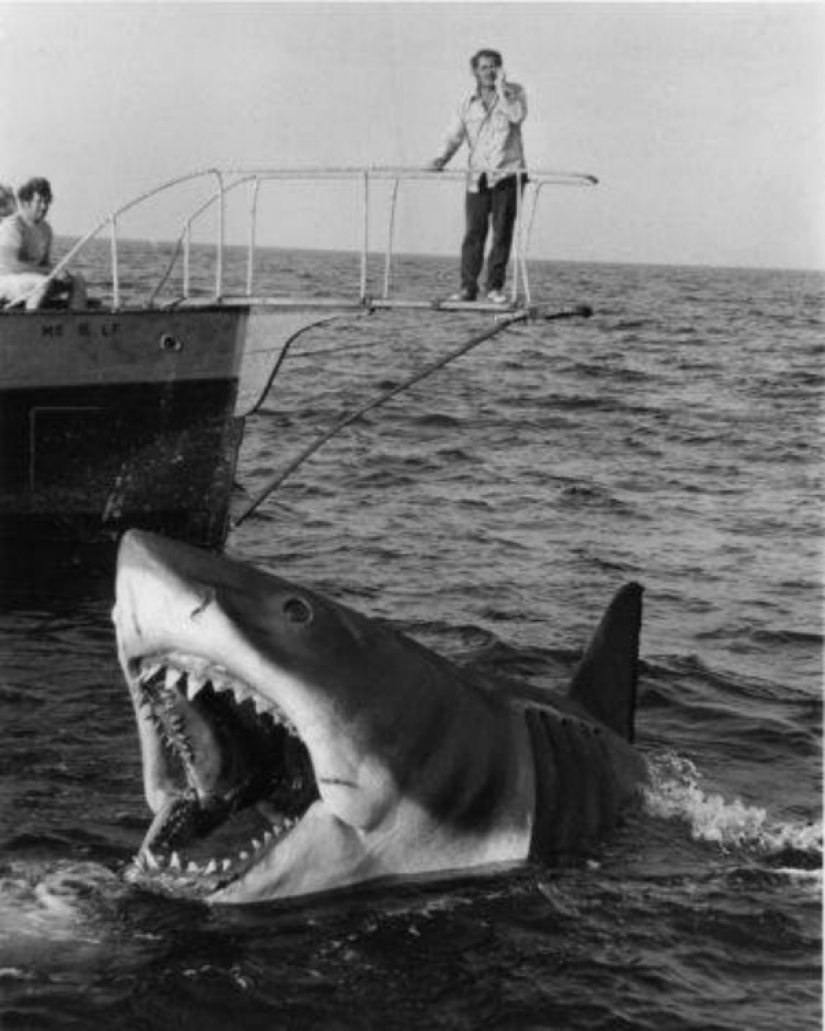 40th Anniversary of Steven Spielberg&#39;s Jaws! [Part 2]