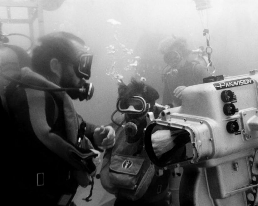40th Anniversary of Steven Spielberg&#39;s Jaws! [Part 2]