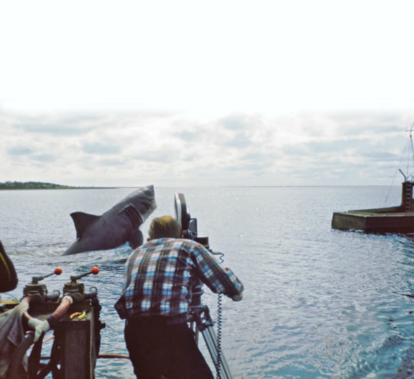 40th Anniversary of Steven Spielberg&#39;s Jaws! [Part 2]