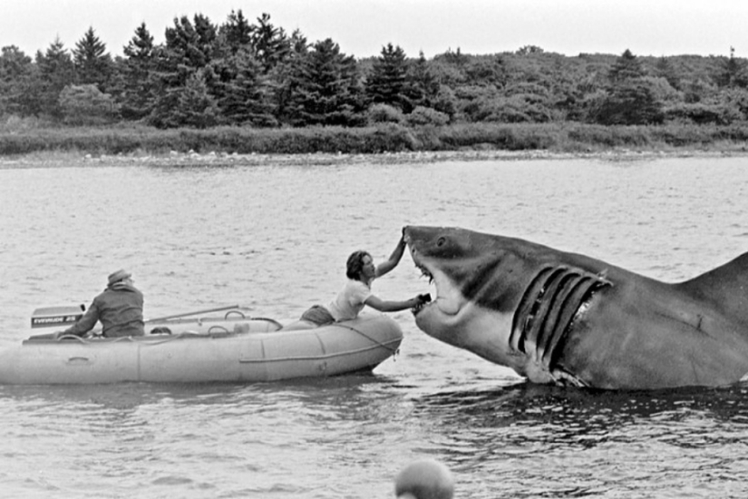 40th Anniversary of Steven Spielberg&#39;s Jaws! [Part 2]
