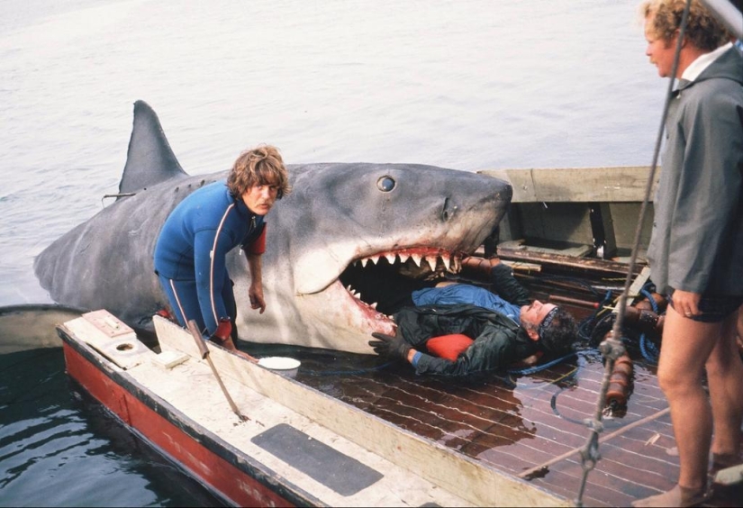 40th Anniversary of Steven Spielberg&#39;s Jaws! [Part 2]