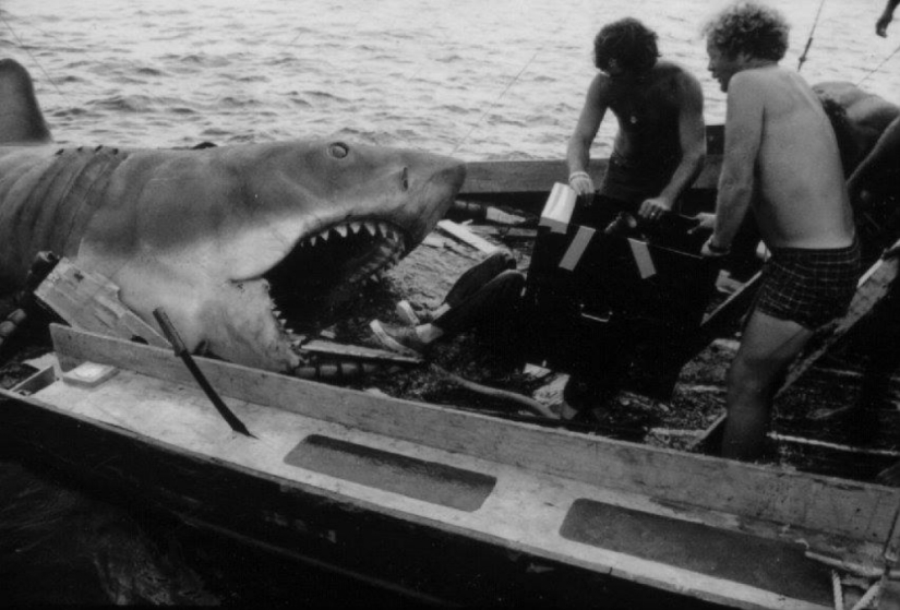 40th Anniversary of Steven Spielberg&#39;s Jaws! [Part 2]