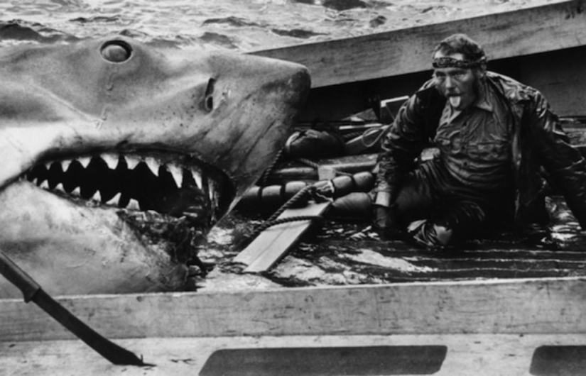 40th Anniversary of Steven Spielberg&#39;s Jaws! [Part 2]