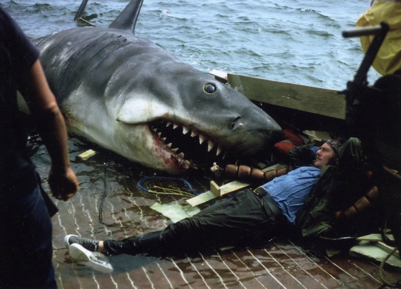 40th Anniversary of Steven Spielberg&#39;s Jaws! [Part 2]