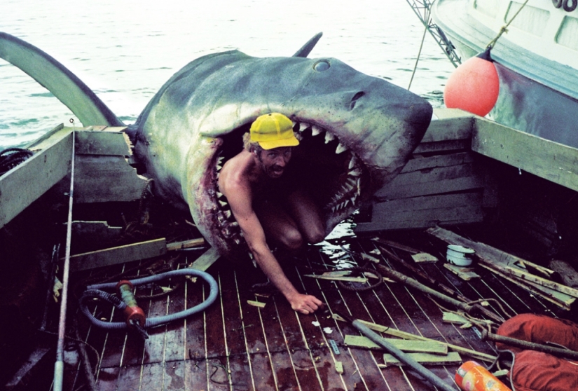 40th Anniversary of Steven Spielberg&#39;s Jaws! [Part 2]