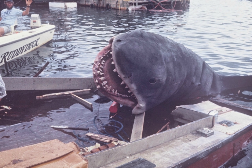 40th Anniversary of Steven Spielberg&#39;s Jaws! [Part 2]