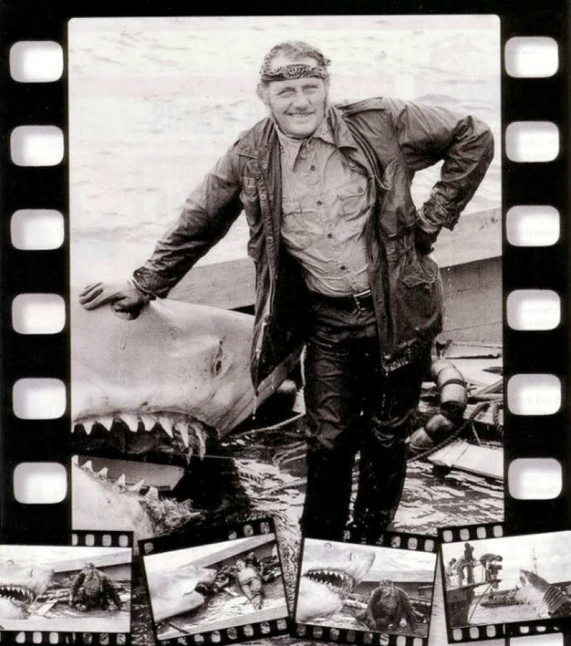40th Anniversary of Steven Spielberg&#39;s Jaws! [Part 2]