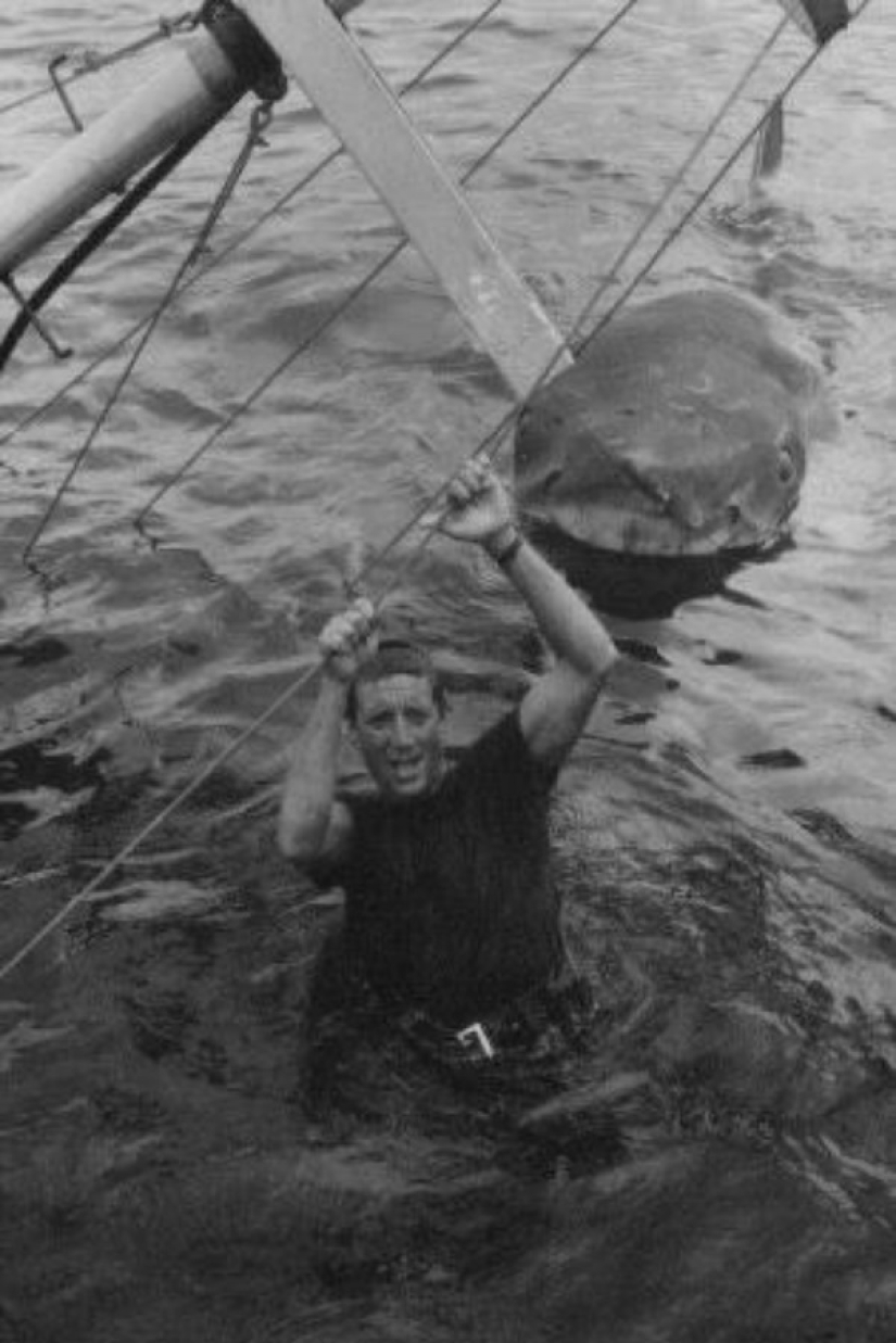 40th Anniversary of Steven Spielberg&#39;s Jaws! [Part 2]