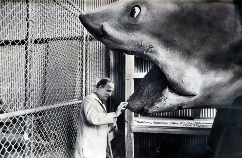 40th Anniversary of Steven Spielberg&#39;s Jaws! [Part 2]