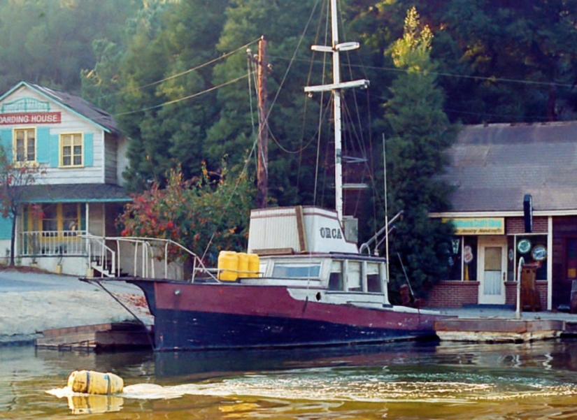 40th Anniversary of Steven Spielberg&#39;s Jaws! [Part 2]