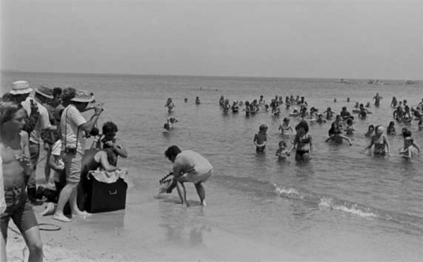40th Anniversary of Steven Spielberg&#39;s Jaws! [Part 2]