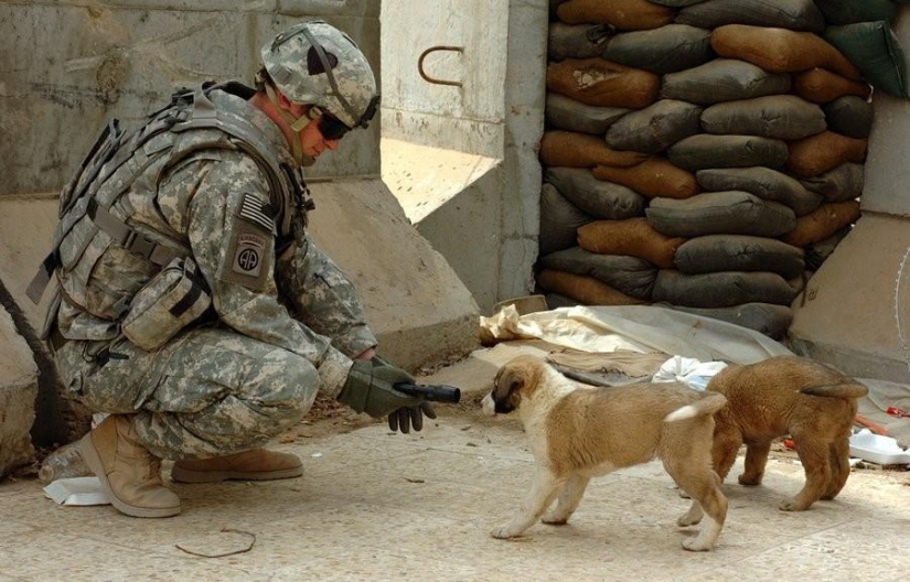 41 examples of preserving humanity in the face of danger