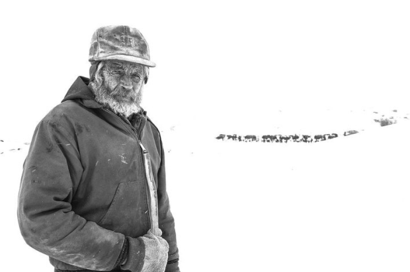 41st state: brutal farmers of Montana