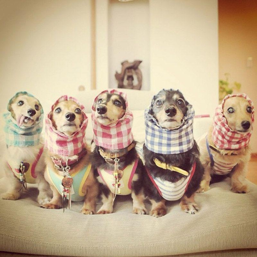 43 most touching Instagrams of 2013