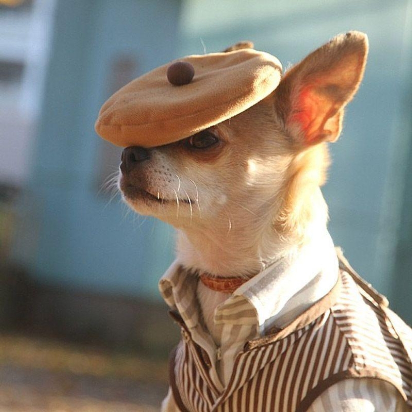 43 most touching Instagrams of 2013