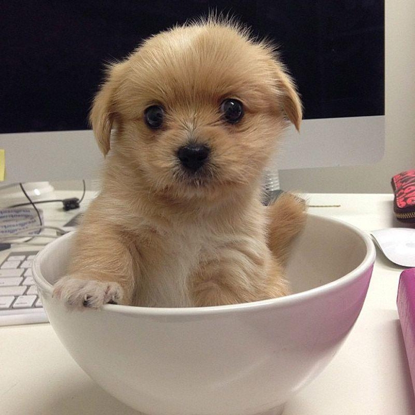 43 most touching Instagrams of 2013