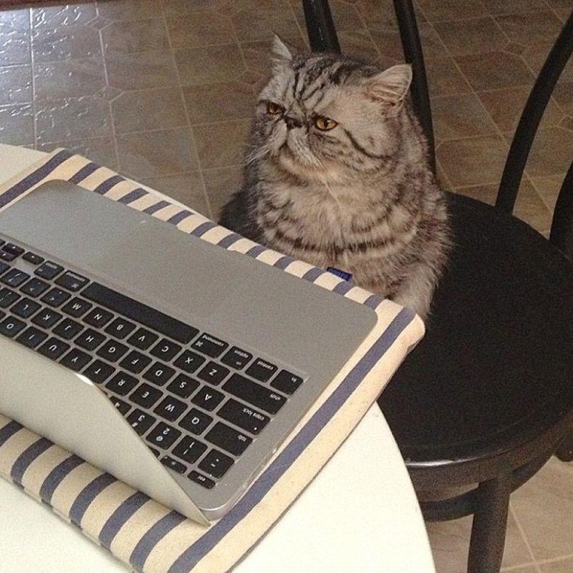 43 most touching Instagrams of 2013