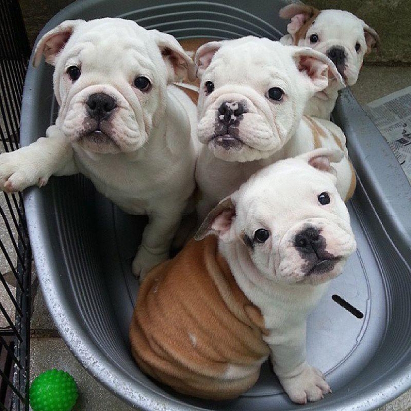 43 most touching Instagrams of 2013