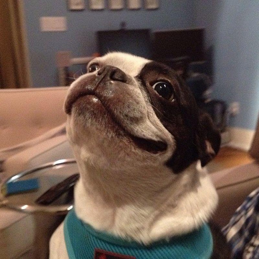 43 most touching Instagrams of 2013