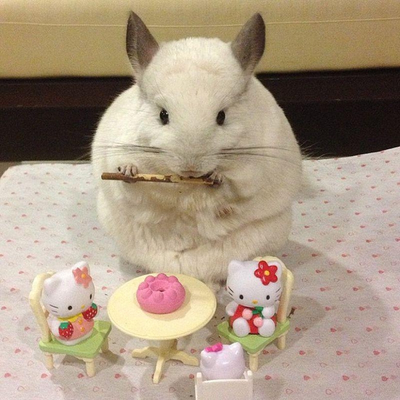 43 most touching Instagrams of 2013