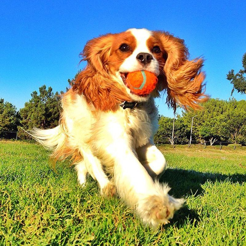 43 most touching Instagrams of 2013
