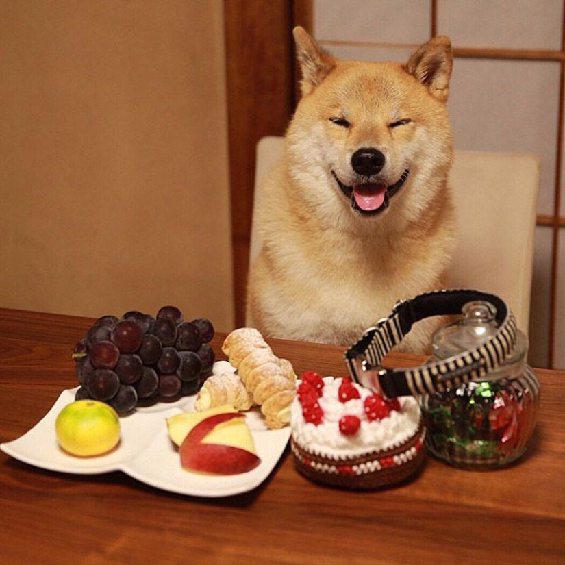 43 most touching Instagrams of 2013