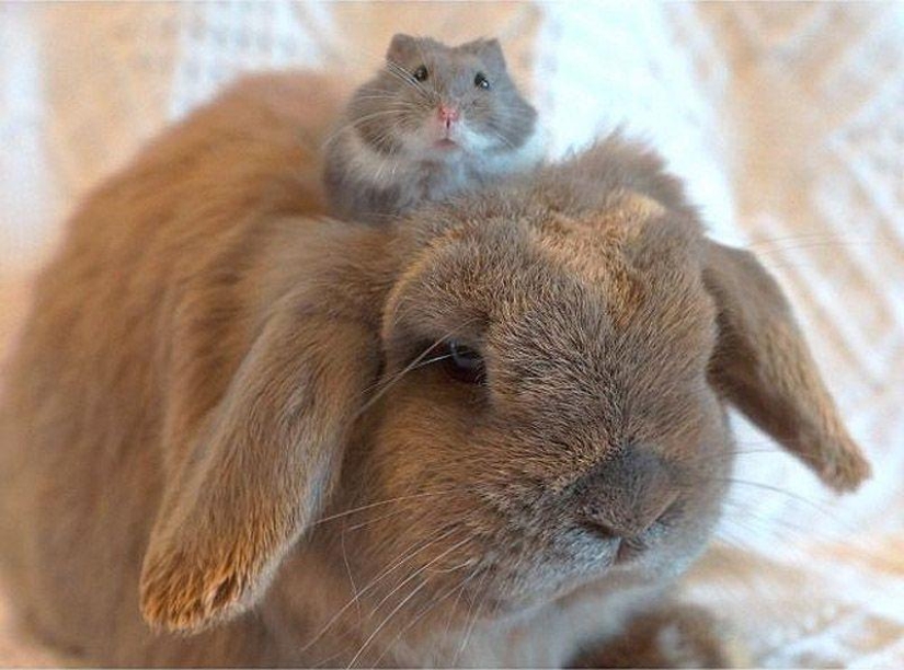 43 most touching Instagrams of 2013