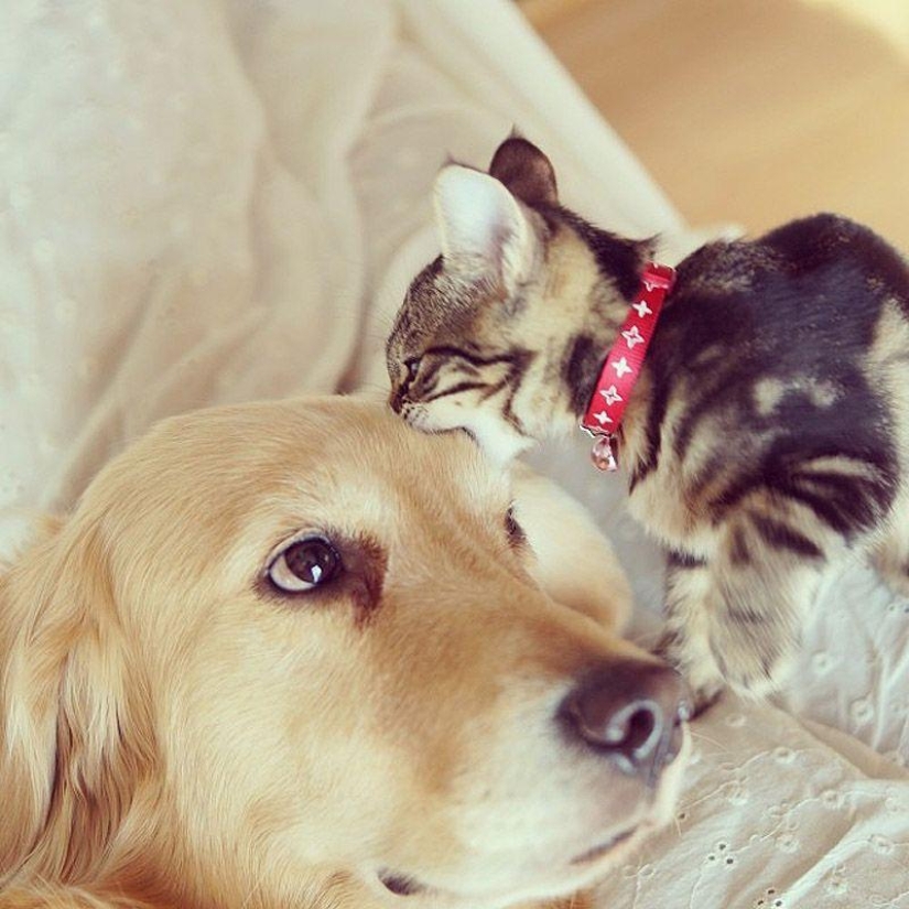 43 most touching Instagrams of 2013