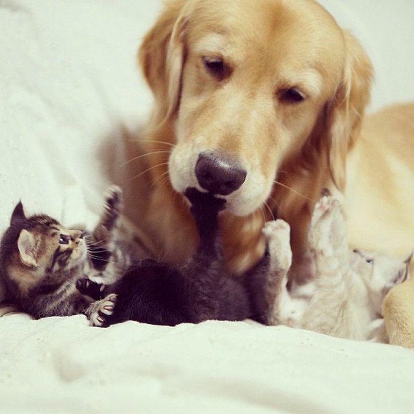 43 most touching Instagrams of 2013