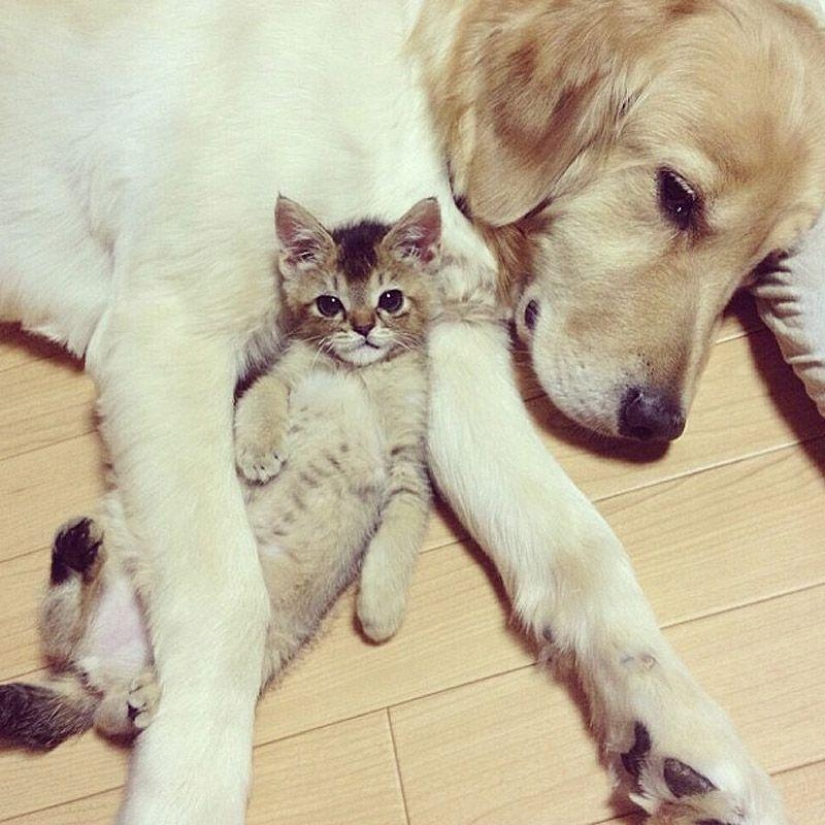 43 most touching Instagrams of 2013