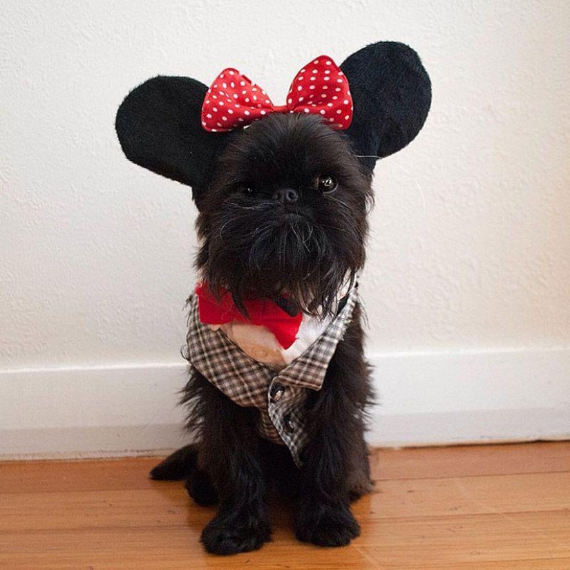 43 most touching Instagrams of 2013