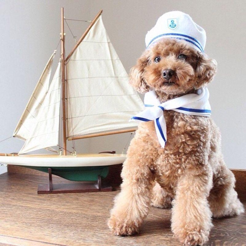 43 most touching Instagrams of 2013