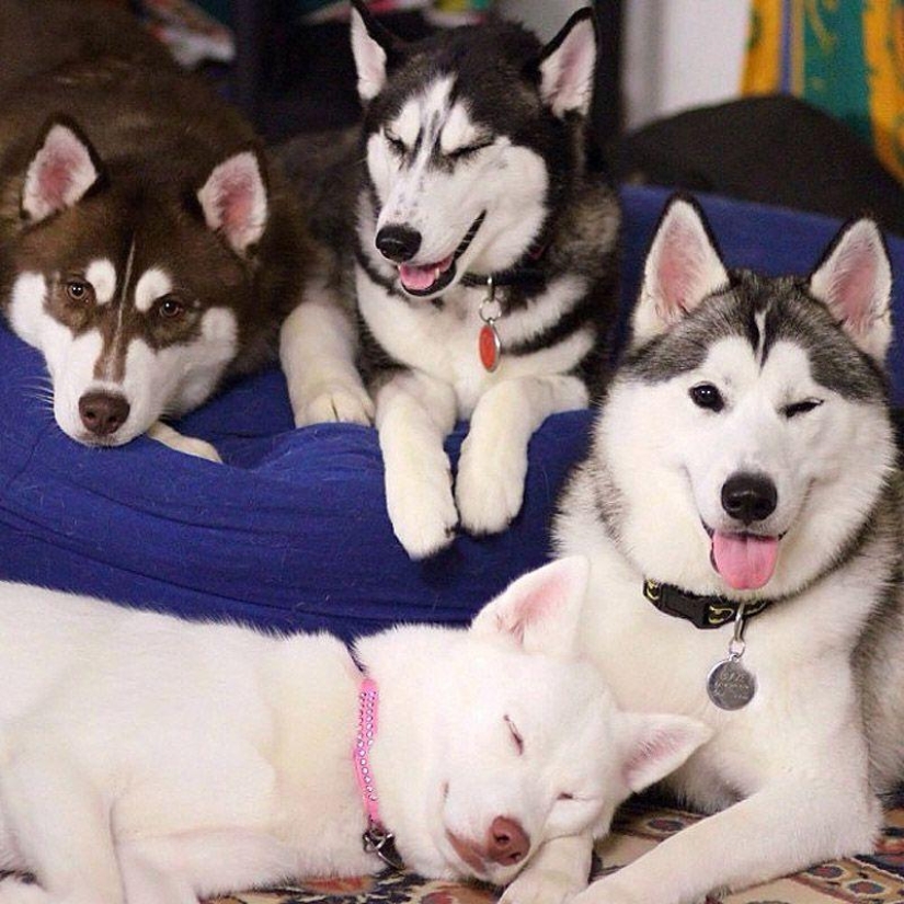 43 most touching Instagrams of 2013